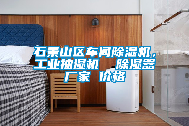 石景山區(qū)車間除濕機(jī)，工業(yè)抽濕機(jī)  除濕器廠家 價(jià)格