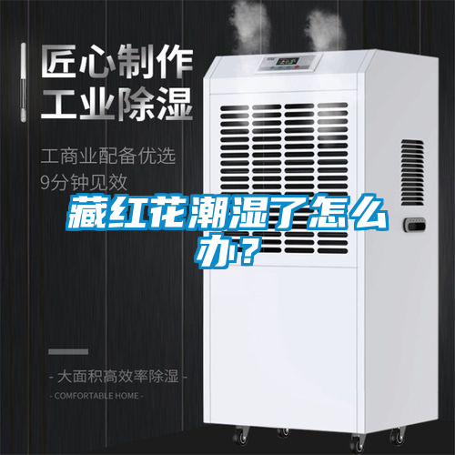 藏紅花潮濕了怎么辦？