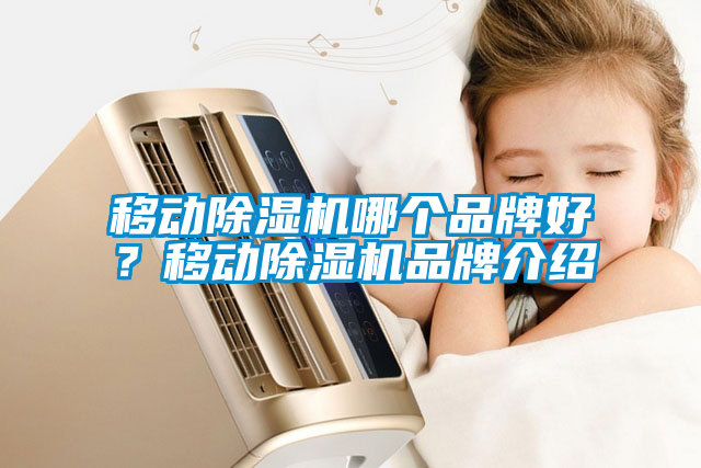 移動除濕機哪個品牌好？移動除濕機品牌介紹