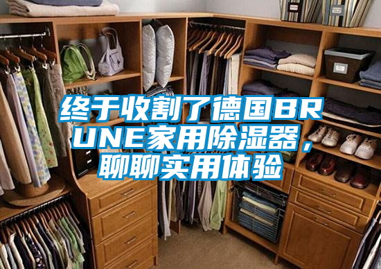 終于收割了德國BRUNE家用除濕器，聊聊實(shí)用體驗(yàn)