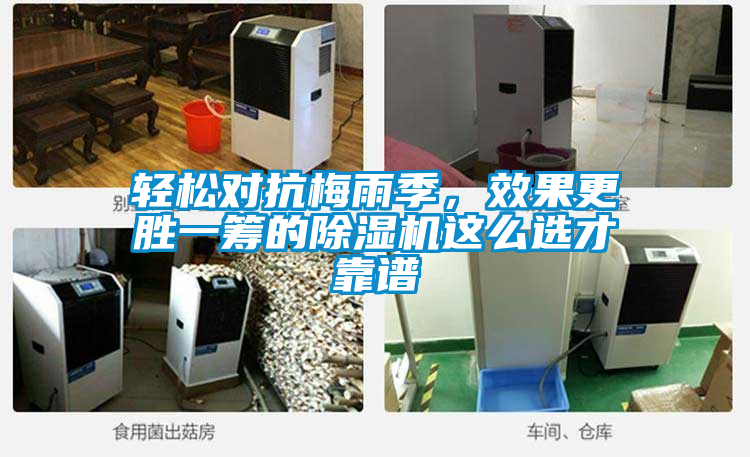輕松對抗梅雨季，效果更勝一籌的除濕機(jī)這么選才靠譜