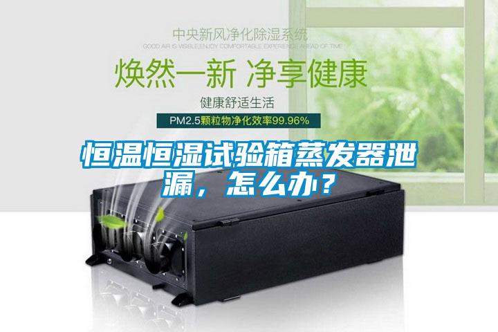 恒溫恒濕試驗箱蒸發(fā)器泄漏，怎么辦？