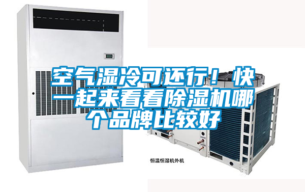 空氣濕冷可還行！快一起來看看除濕機哪個品牌比較好