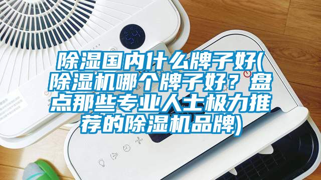 除濕國(guó)內(nèi)什么牌子好(除濕機(jī)哪個(gè)牌子好？盤點(diǎn)那些專業(yè)人士極力推薦的除濕機(jī)品牌)