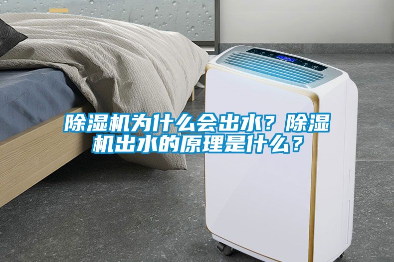 除濕機(jī)為什么會(huì)出水？除濕機(jī)出水的原理是什么？