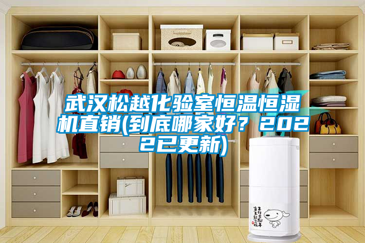 武漢松越化驗(yàn)室恒溫恒濕機(jī)直銷(xiāo)(到底哪家好？2022已更新)