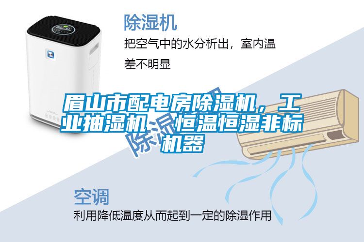 眉山市配電房除濕機(jī)，工業(yè)抽濕機(jī)  恒溫恒濕非標(biāo)機(jī)器