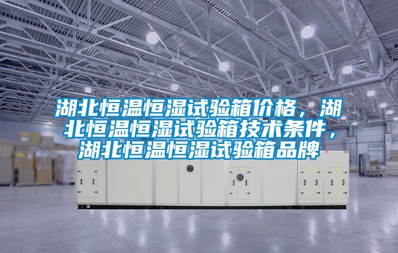湖北恒溫恒濕試驗箱價格，湖北恒溫恒濕試驗箱技術條件，湖北恒溫恒濕試驗箱品牌