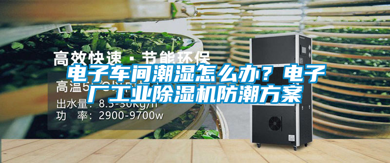 電子車(chē)間潮濕怎么辦？電子廠工業(yè)除濕機(jī)防潮方案