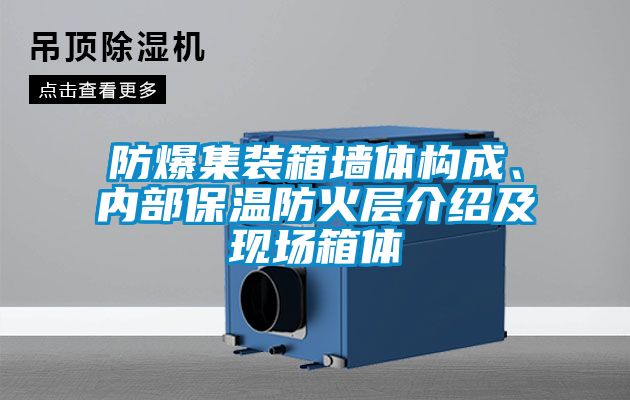 防爆集裝箱墻體構(gòu)成、內(nèi)部保溫防火層介紹及現(xiàn)場箱體