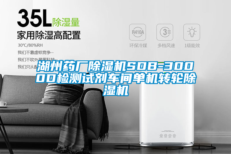 湖州藥廠除濕機(jī)SDB-3000D檢測(cè)試劑車(chē)間單機(jī)轉(zhuǎn)輪除濕機(jī)
