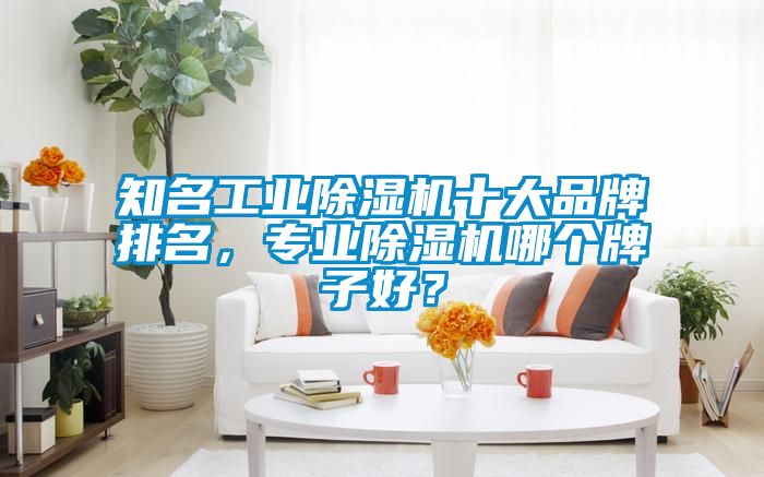 知名工業(yè)除濕機(jī)十大品牌排名，專業(yè)除濕機(jī)哪個(gè)牌子好？