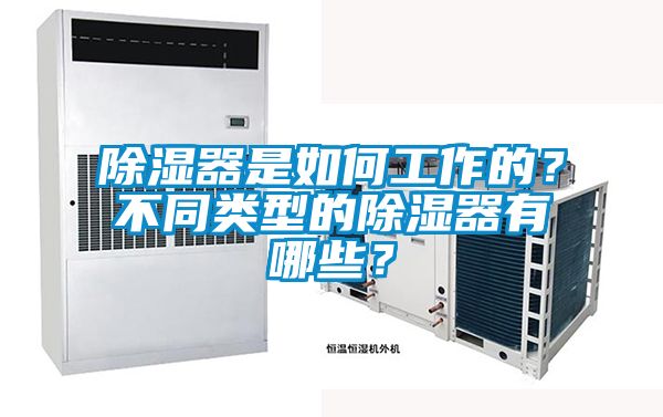 除濕器是如何工作的？不同類型的除濕器有哪些？