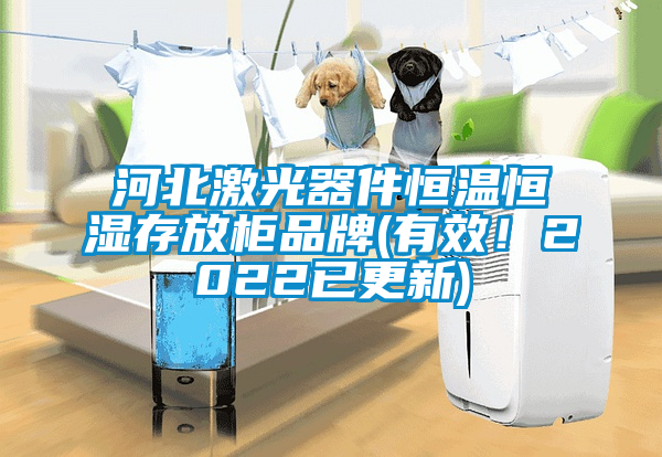 河北激光器件恒溫恒濕存放柜品牌(有效！2022已更新)