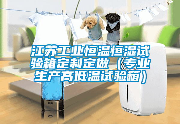 江蘇工業(yè)恒溫恒濕試驗(yàn)箱定制定做（專業(yè)生產(chǎn)高低溫試驗(yàn)箱）