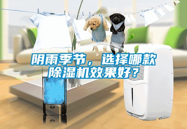 陰雨季節(jié)，選擇哪款除濕機(jī)效果好？