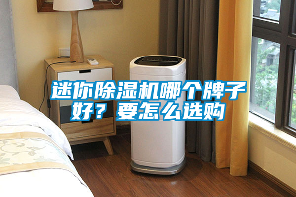 迷你除濕機(jī)哪個(gè)牌子好？要怎么選購(gòu)
