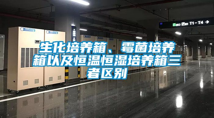 生化培養(yǎng)箱、霉菌培養(yǎng)箱以及恒溫恒濕培養(yǎng)箱三者區(qū)別