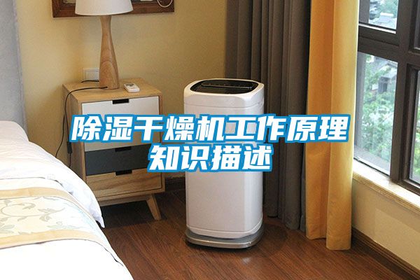 除濕干燥機(jī)工作原理知識(shí)描述