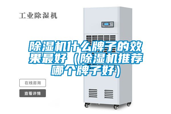 除濕機(jī)什么牌子的效果最好（除濕機(jī)推薦哪個牌子好）
