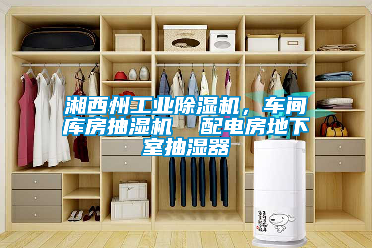 湘西州工業(yè)除濕機(jī)，車(chē)間庫(kù)房抽濕機(jī)  配電房地下室抽濕器