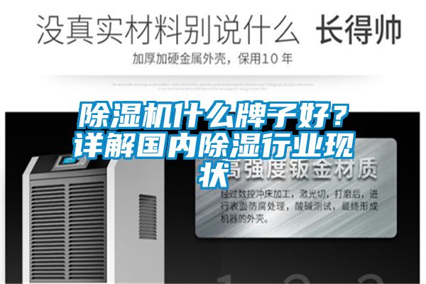 除濕機(jī)什么牌子好？詳解國內(nèi)除濕行業(yè)現(xiàn)狀