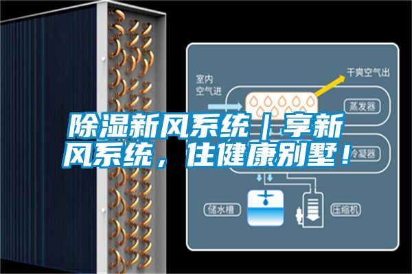 除濕新風(fēng)系統(tǒng)｜享新風(fēng)系統(tǒng)，住健康別墅！