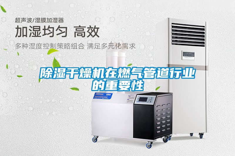 除濕干燥機在燃氣管道行業(yè)的重要性