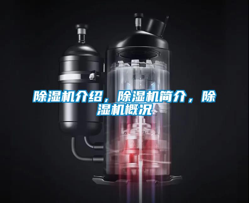 除濕機(jī)介紹，除濕機(jī)簡(jiǎn)介，除濕機(jī)概況