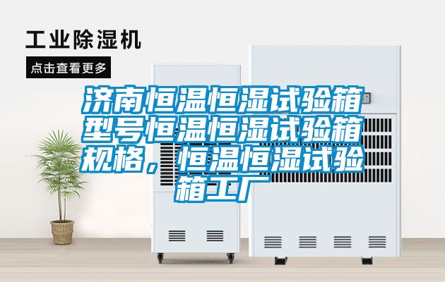 濟南恒溫恒濕試驗箱型號恒溫恒濕試驗箱規(guī)格，恒溫恒濕試驗箱工廠