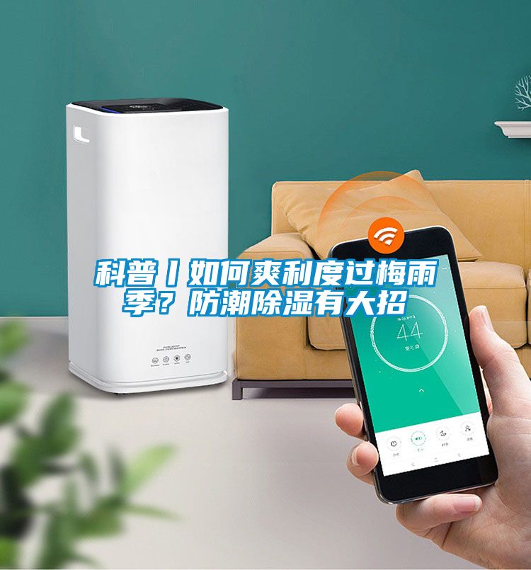 科普丨如何爽利度過(guò)梅雨季？防潮除濕有大招