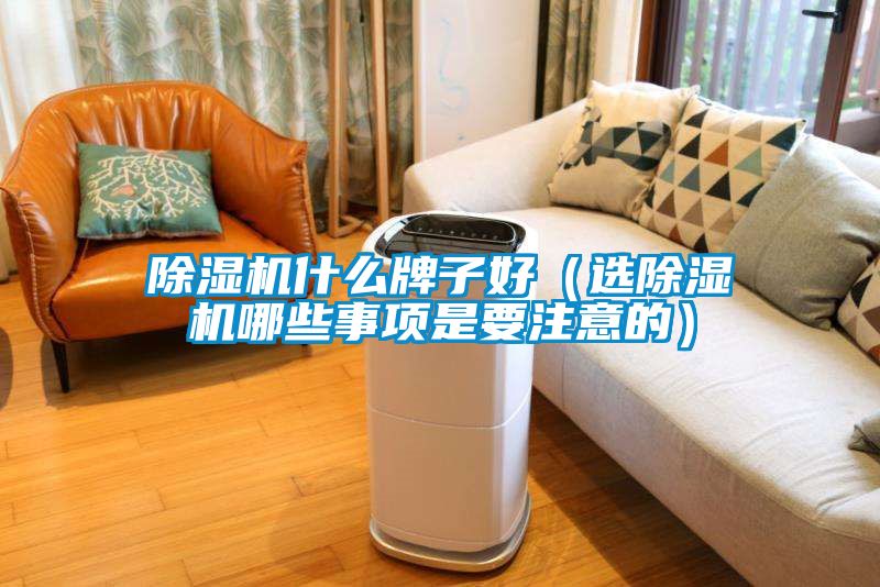 除濕機(jī)什么牌子好（選除濕機(jī)哪些事項是要注意的）