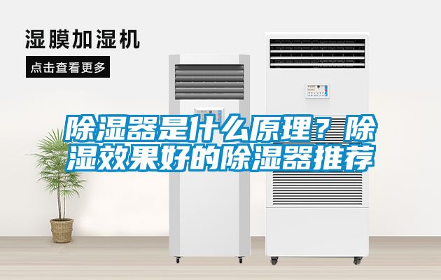 除濕器是什么原理？除濕效果好的除濕器推薦