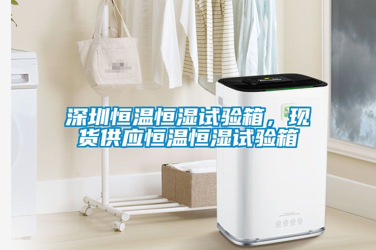 深圳恒溫恒濕試驗箱，現(xiàn)貨供應(yīng)恒溫恒濕試驗箱