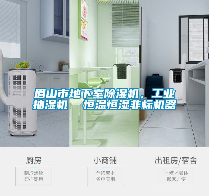 眉山市地下室除濕機(jī)，工業(yè)抽濕機(jī)  恒溫恒濕非標(biāo)機(jī)器