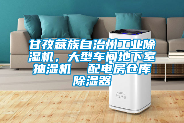 甘孜藏族自治州工業(yè)除濕機(jī)，大型車間地下室抽濕機(jī)  配電房倉庫除濕器