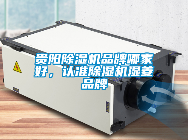 貴陽除濕機品牌哪家好，認準除濕機濕菱品牌