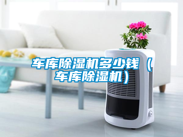 車庫(kù)除濕機(jī)多少錢（車庫(kù)除濕機(jī)）