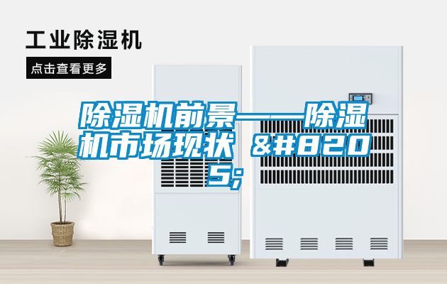 除濕機前景——除濕機市場現(xiàn)狀‍‍