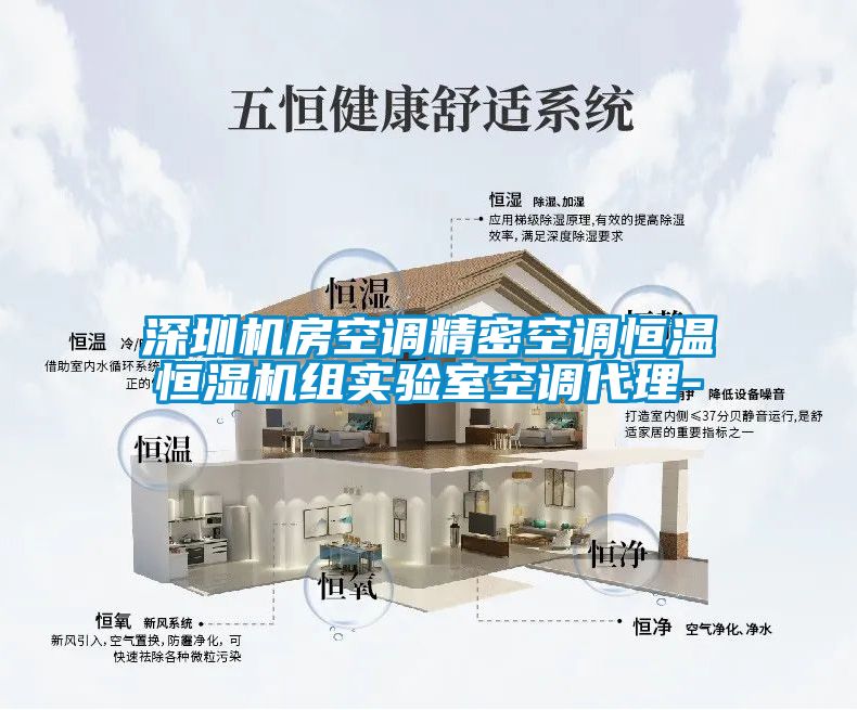 深圳機(jī)房空調(diào)精密空調(diào)恒溫恒濕機(jī)組實驗室空調(diào)代理-