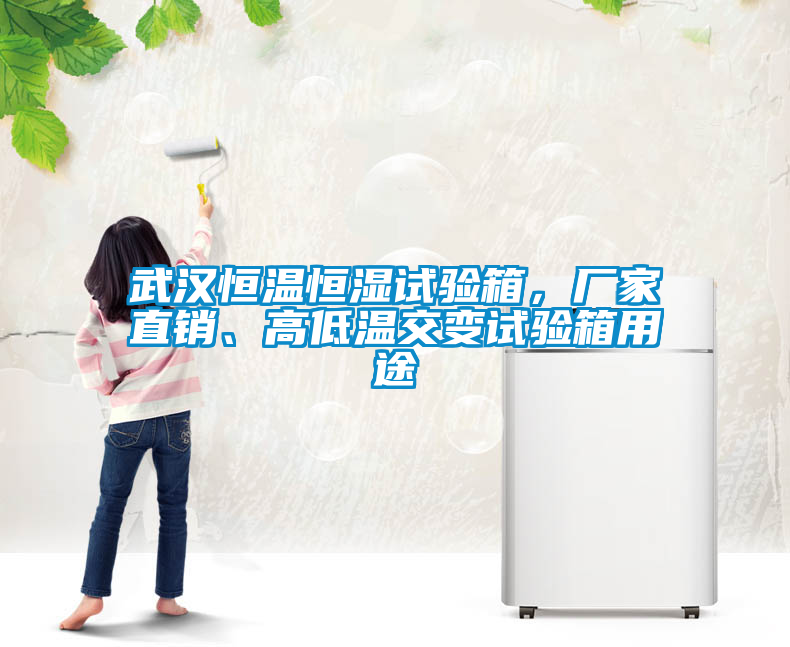 武漢恒溫恒濕試驗(yàn)箱，廠家直銷(xiāo)、高低溫交變?cè)囼?yàn)箱用途