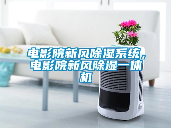 電影院新風除濕系統(tǒng)，電影院新風除濕一體機