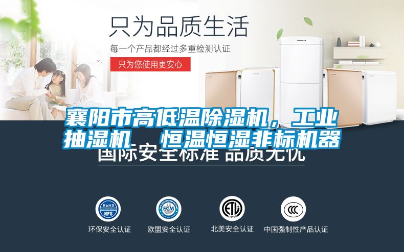 襄陽市高低溫除濕機，工業(yè)抽濕機  恒溫恒濕非標(biāo)機器