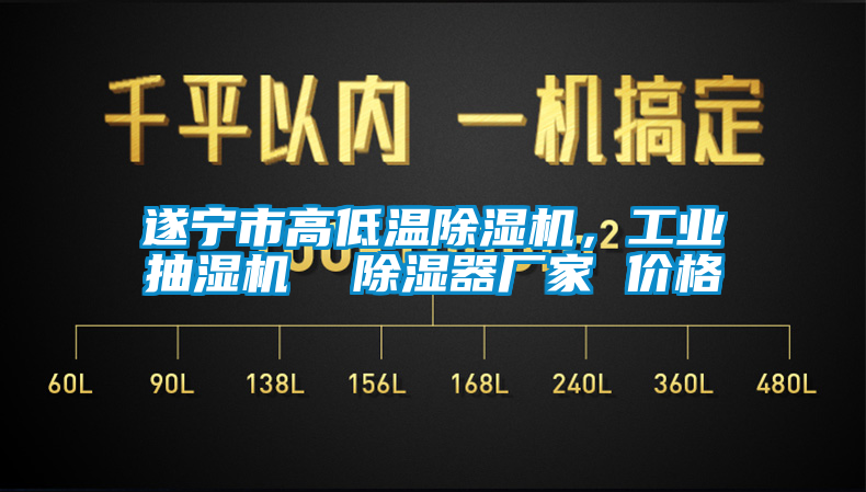 遂寧市高低溫除濕機(jī)，工業(yè)抽濕機(jī)  除濕器廠家 價(jià)格