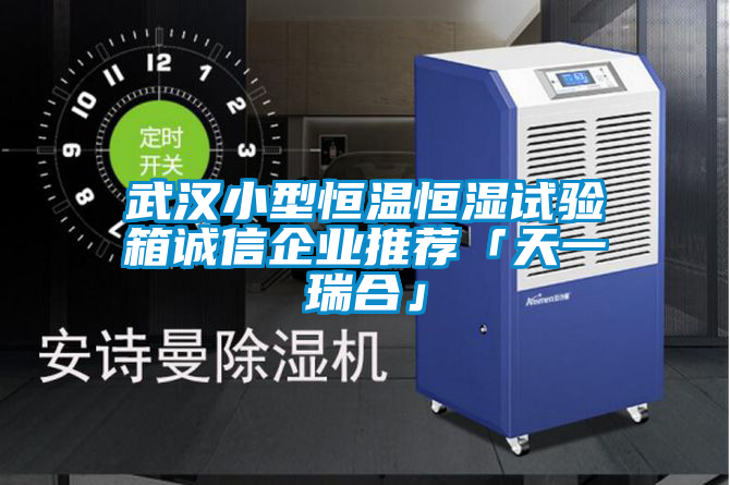 武漢小型恒溫恒濕試驗(yàn)箱誠(chéng)信企業(yè)推薦「天一瑞合」
