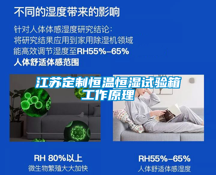 江蘇定制恒溫恒濕試驗(yàn)箱工作原理