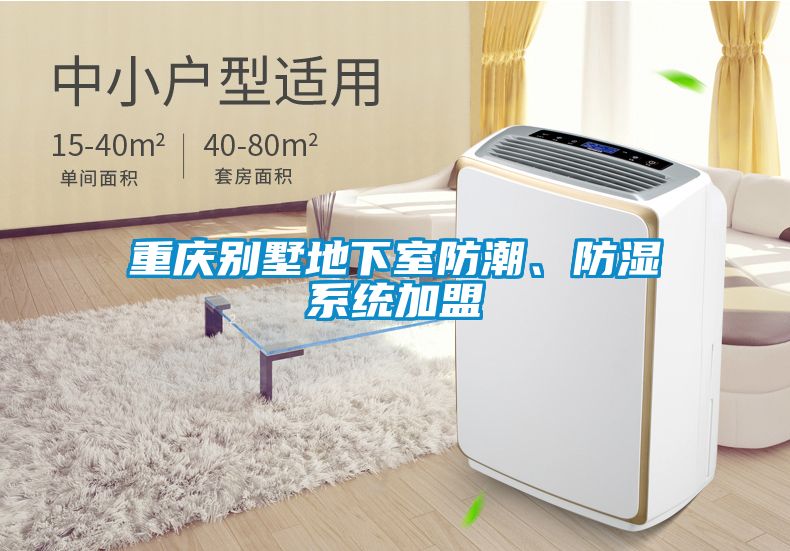 重慶別墅地下室防潮、防濕系統(tǒng)加盟