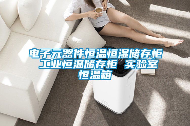 電子元器件恒溫恒濕儲(chǔ)存柜 工業(yè)恒溫儲(chǔ)存柜 實(shí)驗(yàn)室恒溫箱