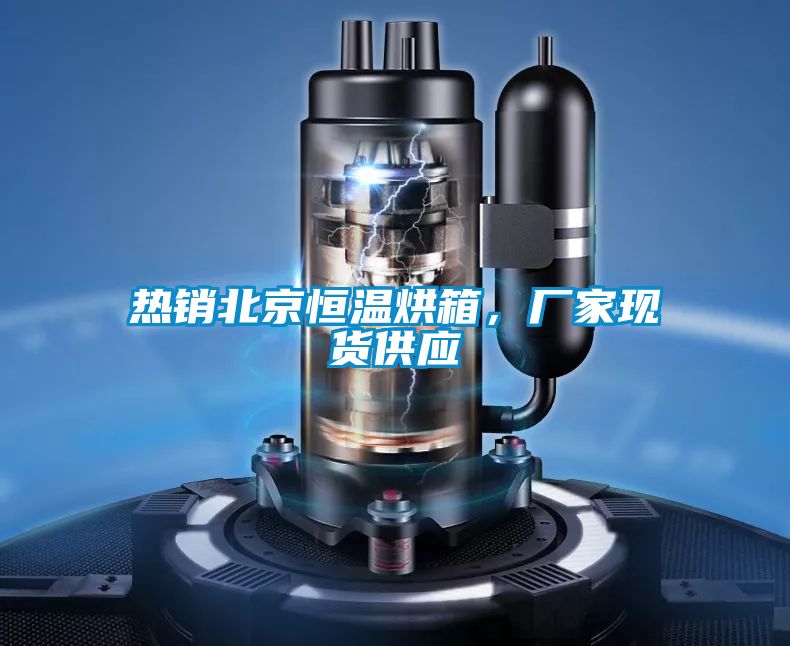 熱銷北京恒溫烘箱，廠家現(xiàn)貨供應(yīng)