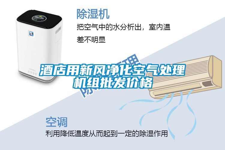 酒店用新風(fēng)凈化空氣處理機組批發(fā)價格